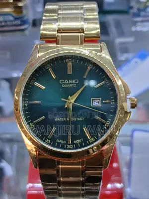Casio Watch