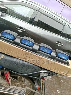 Roof Mounted Fog/Driving Light Assembly for Off Road Conditions