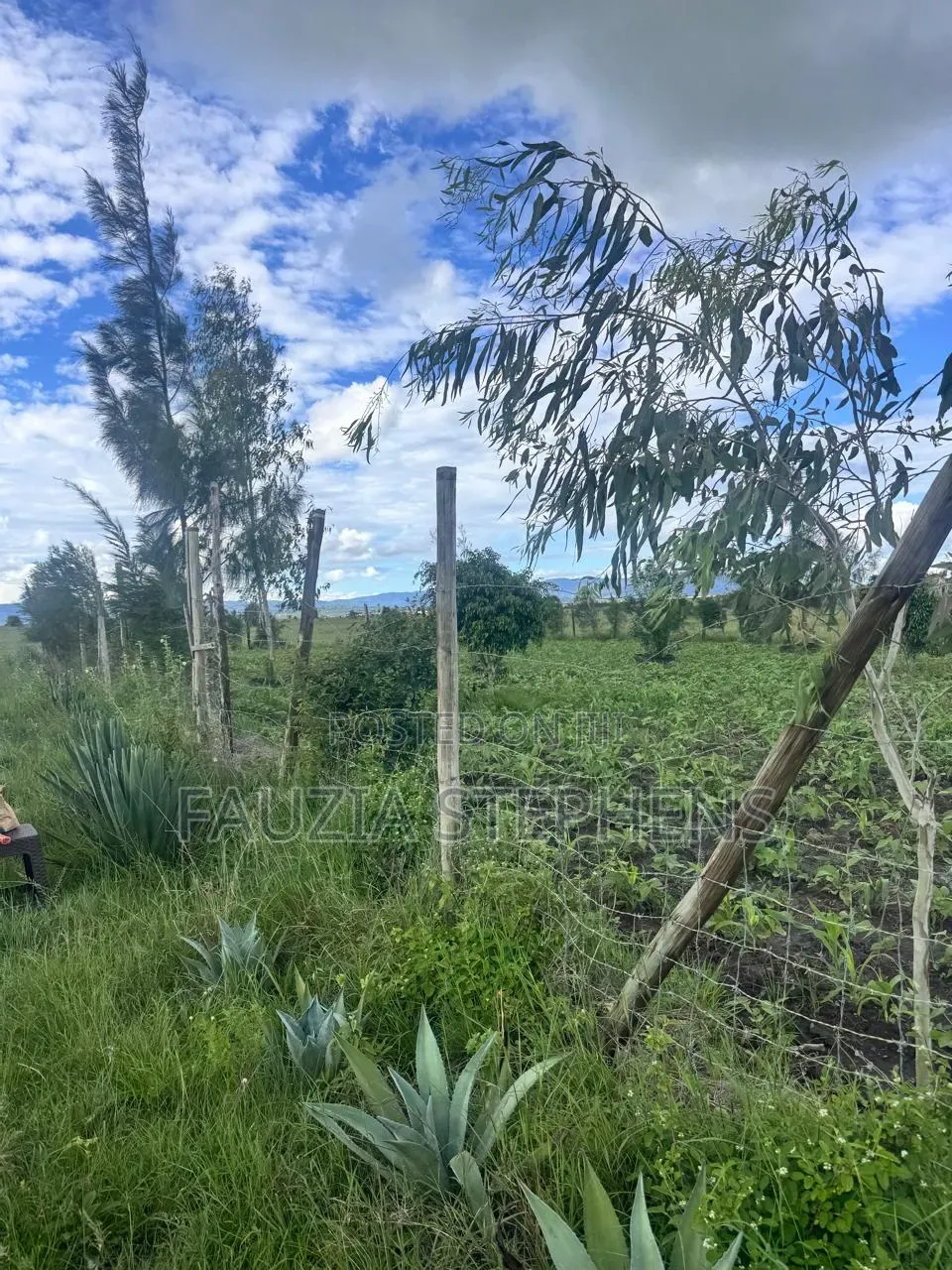 Konza City Plot for Lease
