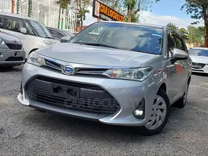 Toyota Corolla Fielder 2019 Silver