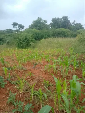 Half Acre Land- At Kyua Near Kwavonza Town