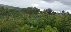 Thika Ngoliba 1 Prime Acre