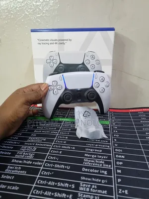 Sony Play Station