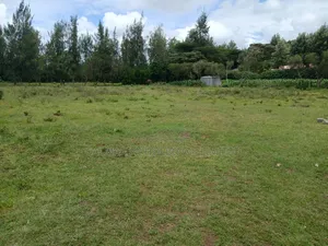 Distress Sale! 100 by 100 Prime Plot in Oloolua, Ngong