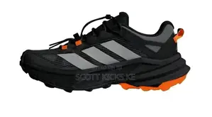 Adidas Terrex Hiking Shoes