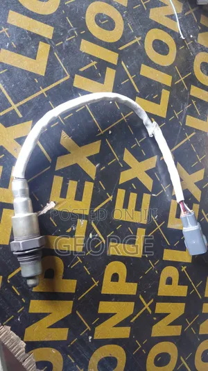 Oxygen Sensor