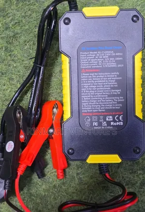 12v Intelligent Pulse Repair Battery Charger