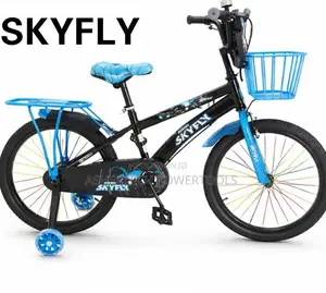 Skyfly Kids BMX Bicycle 20-Inch