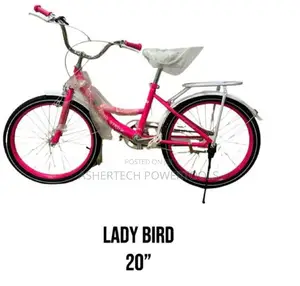 Lady Bird 20" Children's Bicycle Pink