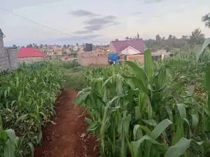 Riverside Plot in Kenyatta Road
