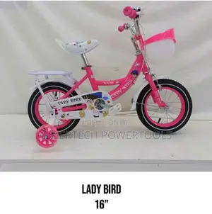 Pink 16-Inch Lady Bird Kids Bicycle
