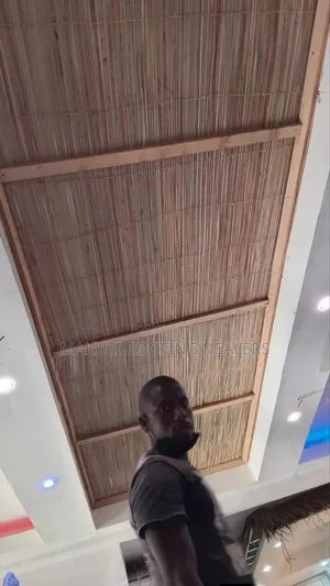 Ceiling Mats Experts