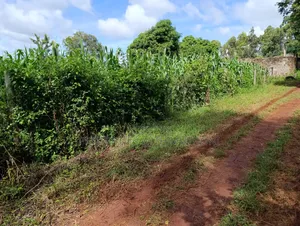 50×100 Plot for Sale in Sagana.