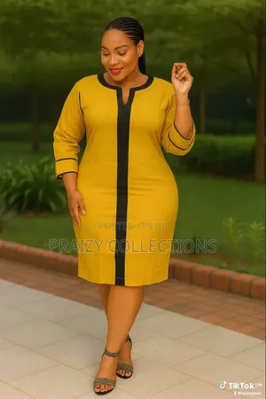 Beautiful Fitted Dress With Black Line