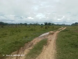 15 Acres Land for Sale