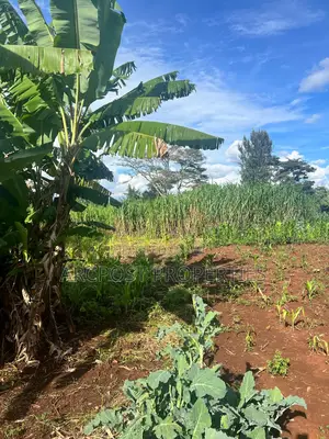 Prime 50x100 Plots for Sale in Kingongo Nyeri Near Highway