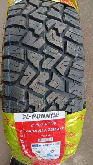 215/65r16 X-Pounce