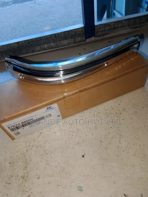 Side Mirror Blinker Hyundai Santa Fe 2015 (Genuine)