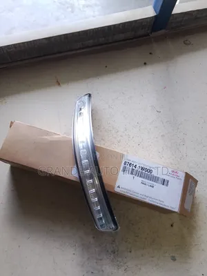 Left Side Mirror Blinker Kia Rio 2012 (Genuine)