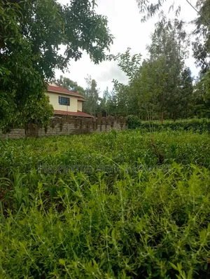 100×100 Plot for Sale in Kibiko, Ngong.