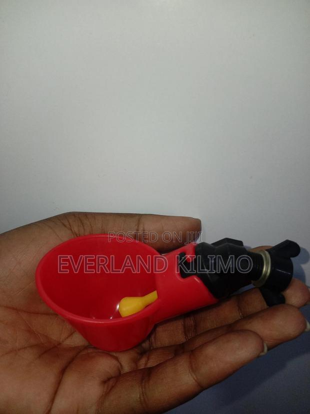Chicken Drinking Cup - main view