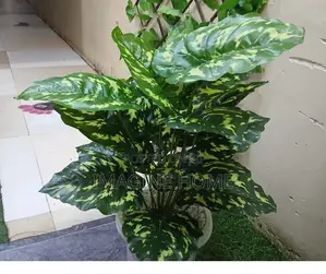 Real Feel Artificial Plant