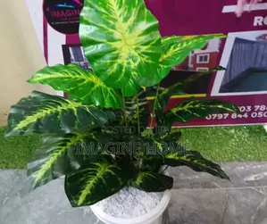 No Sun No Problem Artificial Plant