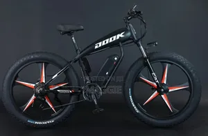 Electric Bike Model Dk20