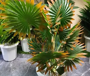 Natural Look for Artificial Plant