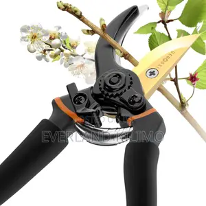 Pruning Shears For Your Garden