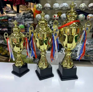 Premium Gold Trophy Cup Set – Award Cups With Handles Ribbons