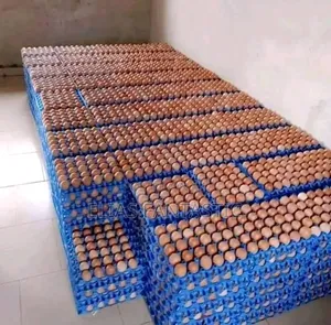 Chicken Eggs in Wholesale
