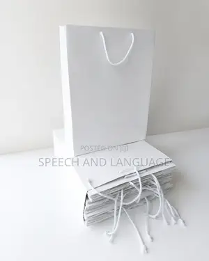 Elegant Gift Bags Echo Friendly