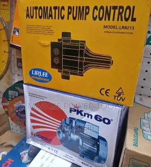 Pedrollo Water Pump With Automatic Pump Controller