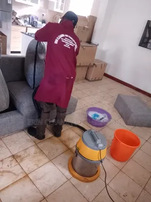 Couch and General House Cleaning Perfectly