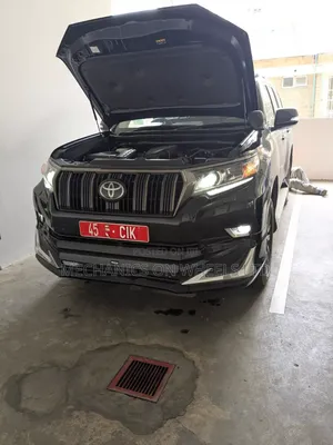 Vehicle Pre-Purchase Inspection