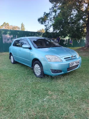 Toyota Corolla RunX 2005 Green