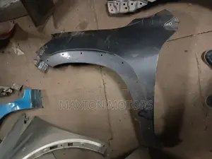 Rav 4 Aca31-36 Wing Fender With Moulding Provision