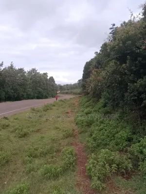 1/4 Quarter Plot Mua Hills Fronting Tarmac Road
