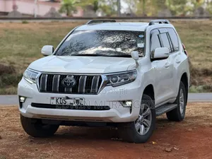 Prado for Hire