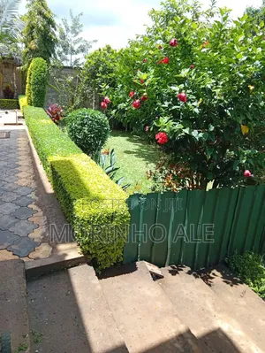 Lawnmowing and Gardening