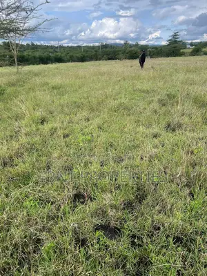 50x100 Plots Kinanie Near Daystar .Pay 1m Cash or 1.2m in Installments