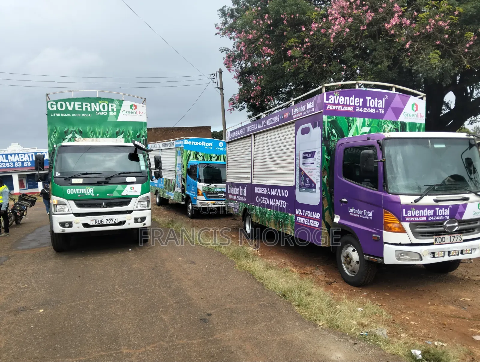 Roadshows/Marketing