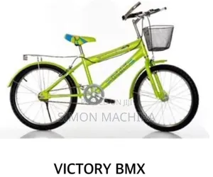Victory BMX Size 20 Kids Bike