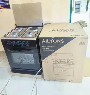 50*55 Ailyons 3+1electric Hot Plate Standing Cooker