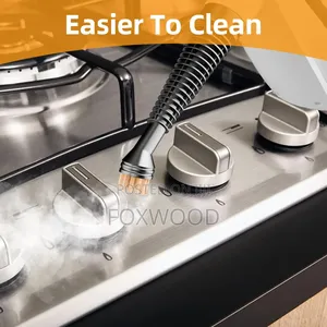 1350w Handheld Steam Cleaner