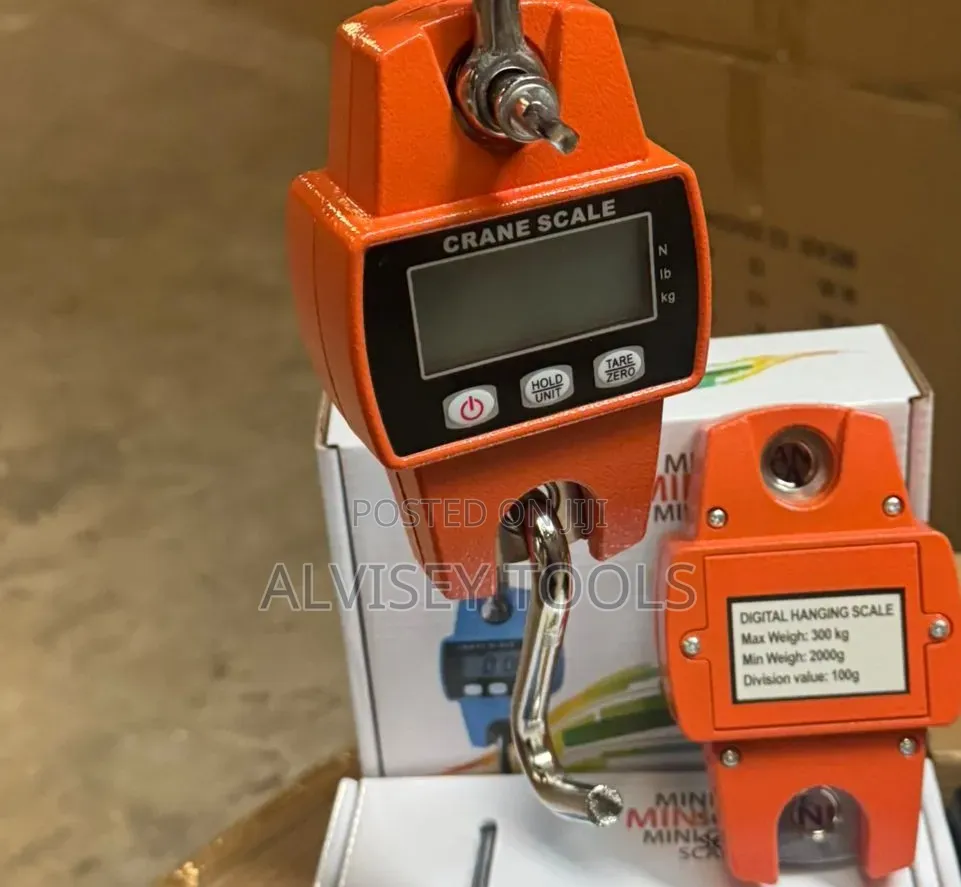 Mini Crane 300kg
