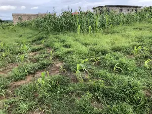 1/6th an Acre Plot for Sale