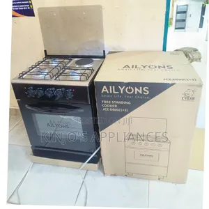 50*55 Ailyons 3+1 Standing Cooker