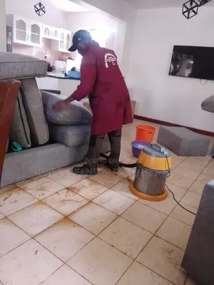 Best Sofa L Shaped Cleaning and Pest Services